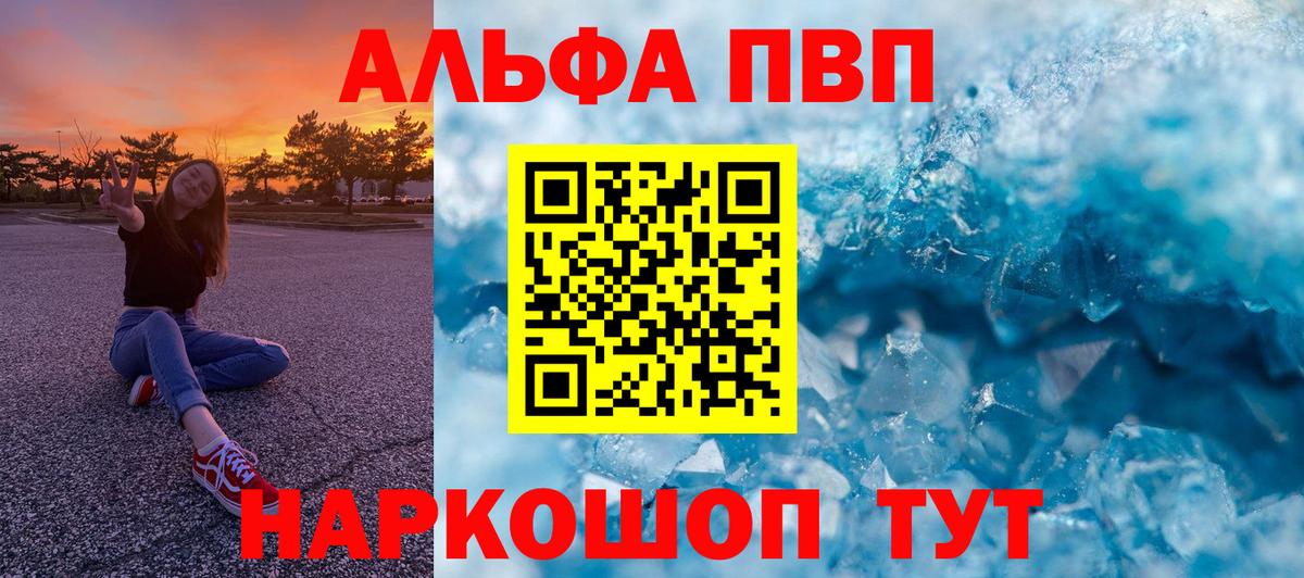 A PVP СК Краснознаменск