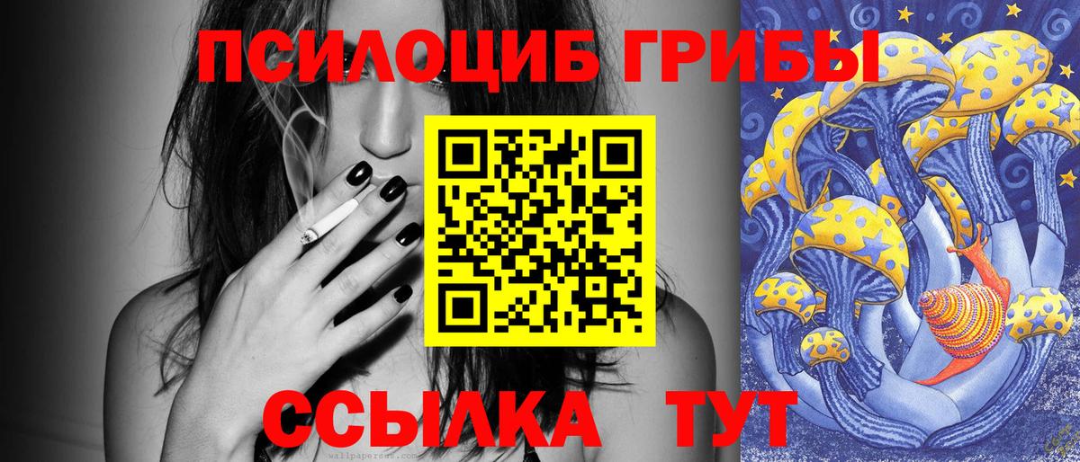 Псилоцибиновые грибы прущие грибы Краснознаменск