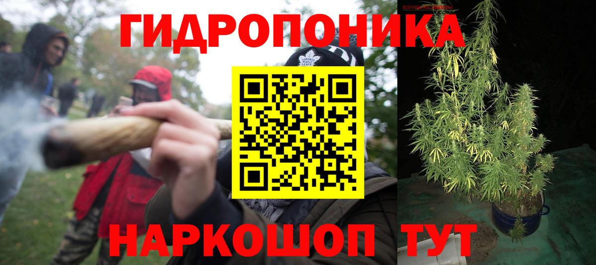 Канабис Bruce Banner Краснознаменск
